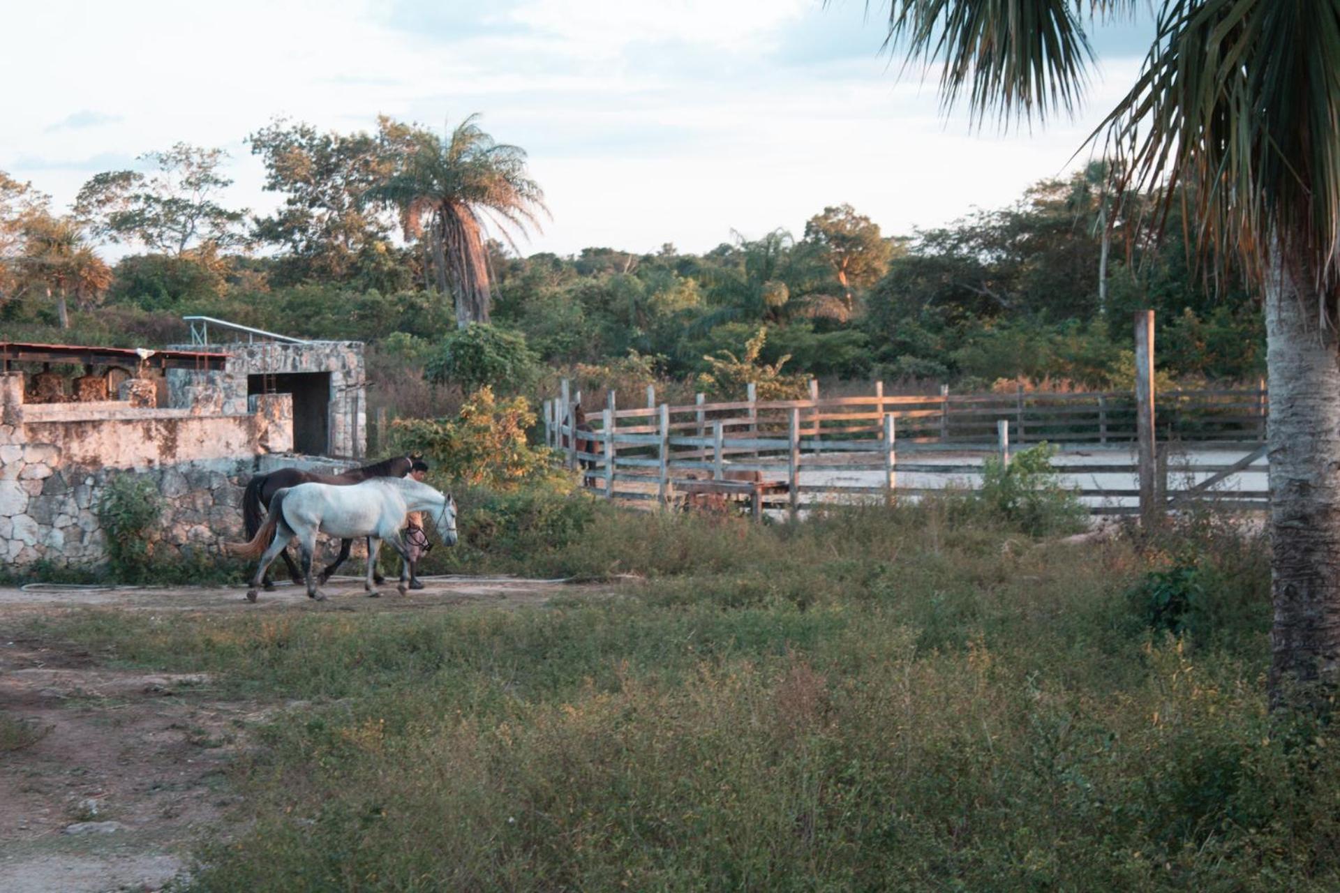Casitas At Rancho Kuxtal Villa Tizimin Exterior photo